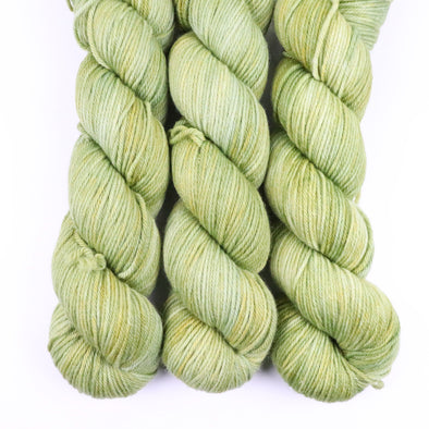 Seedling, Non-SW Merino yarn - worsted weight